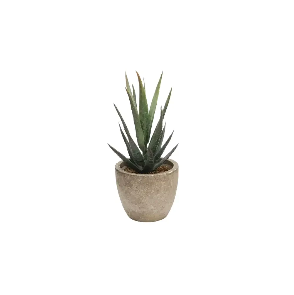 Artificial Succulent Plants