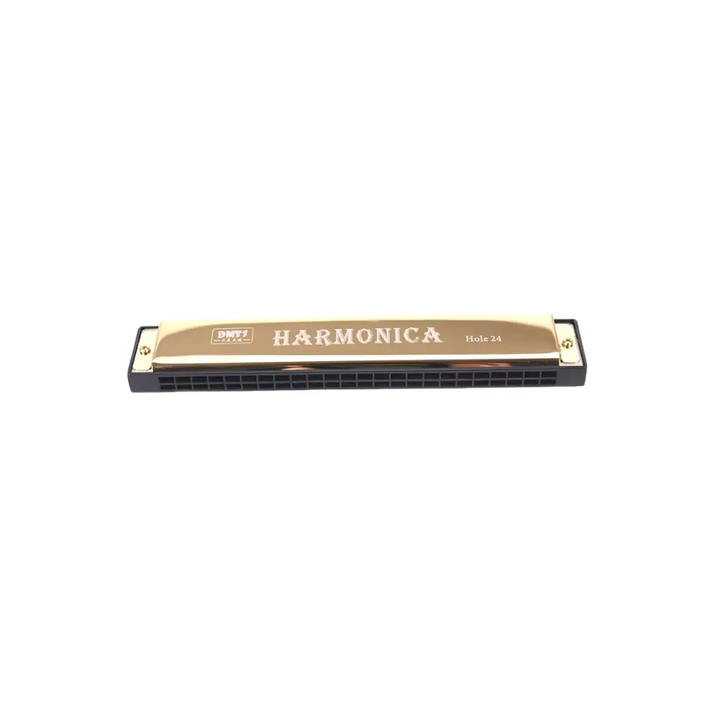 Harmonica Mouth Organ