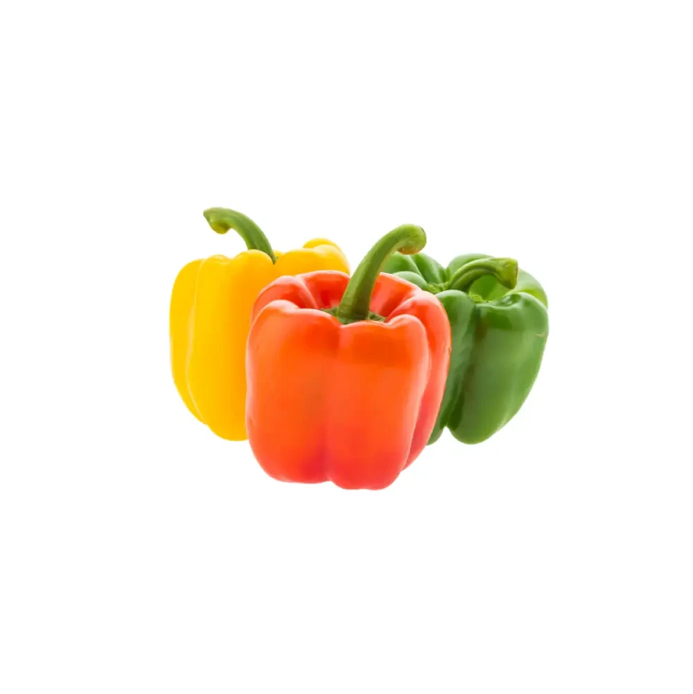 Fresh Color Bell Peppers